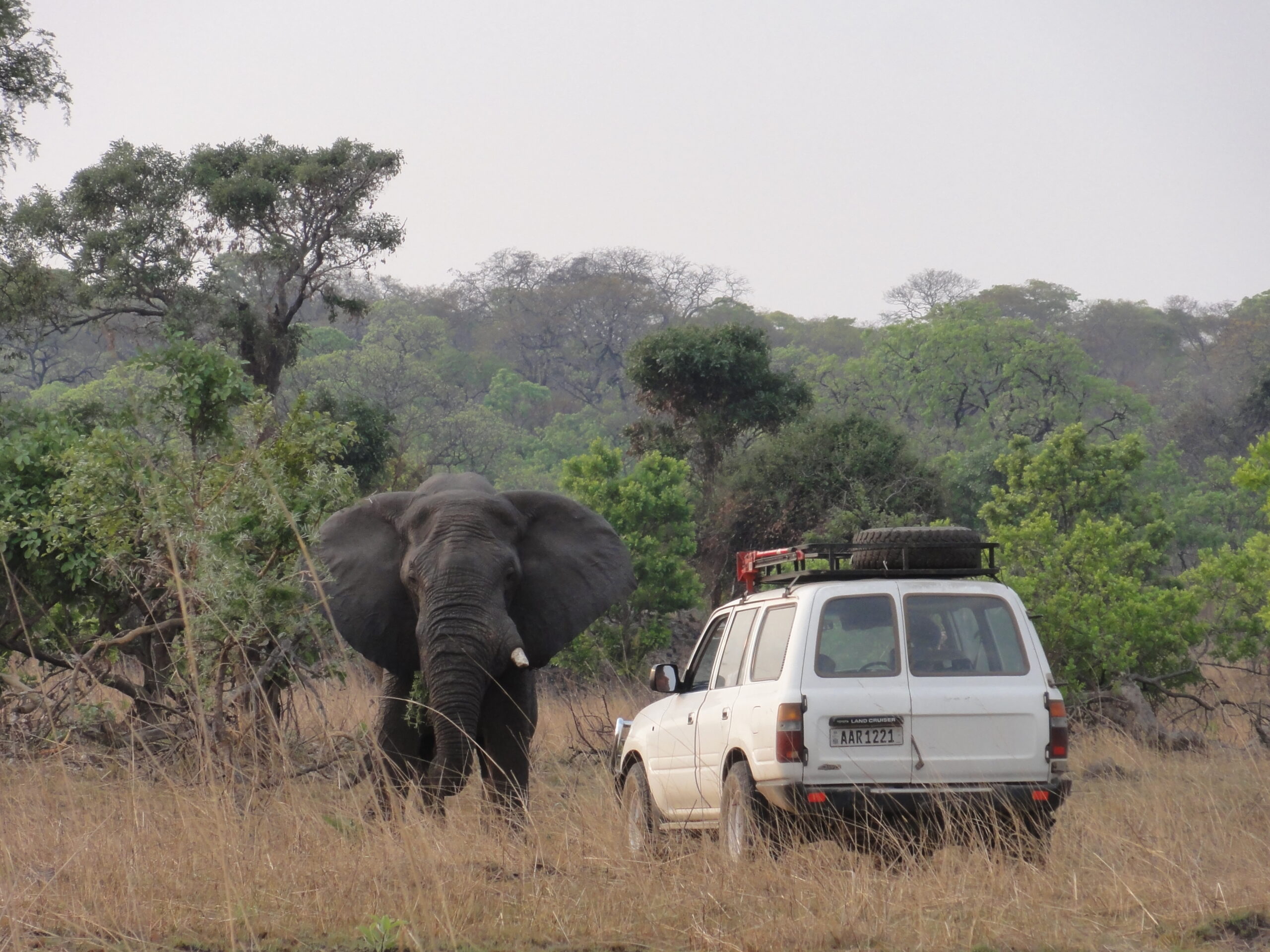 Zambia-DSC02554