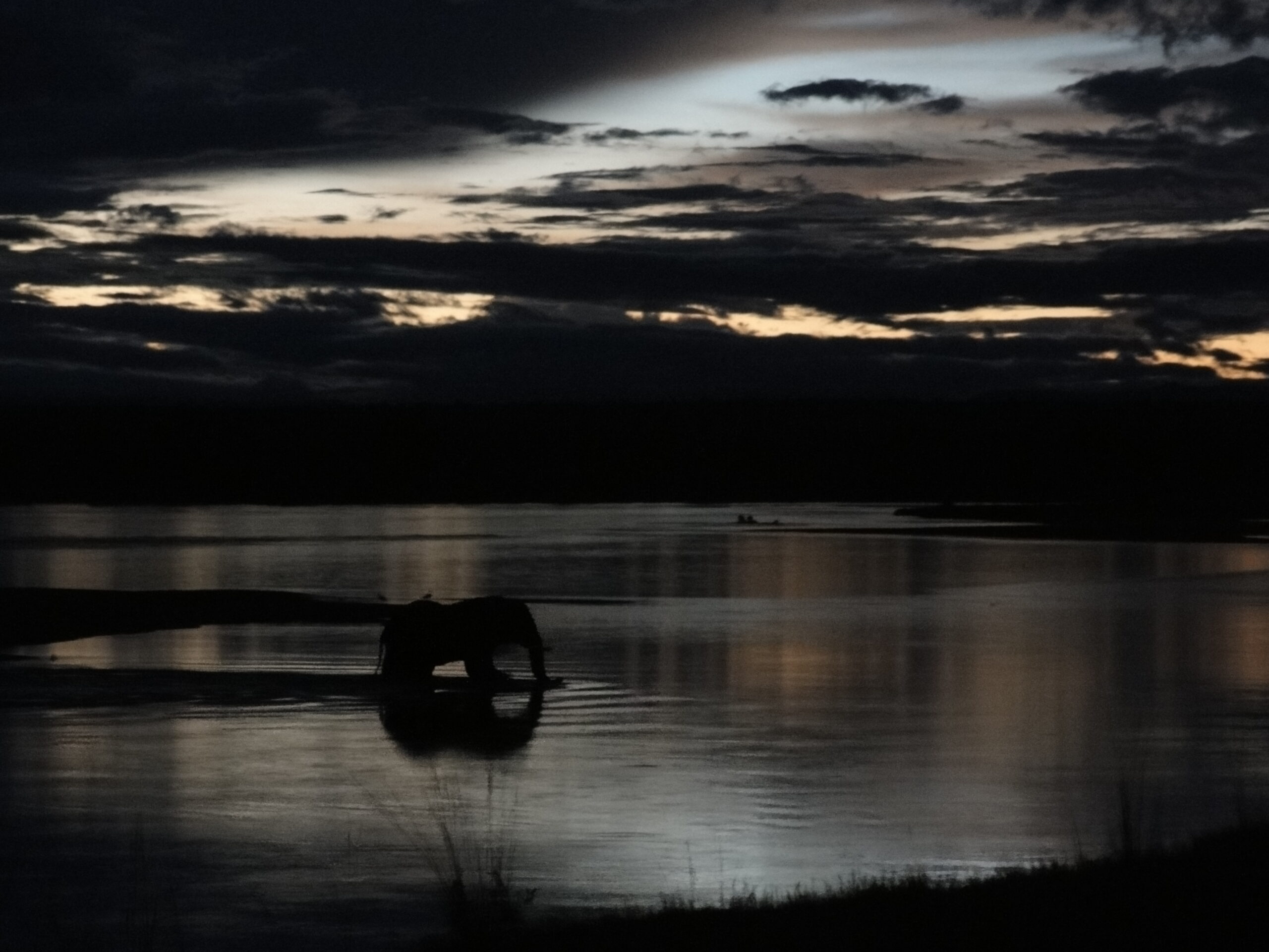 Zambia-South-Luanwa-2012-045